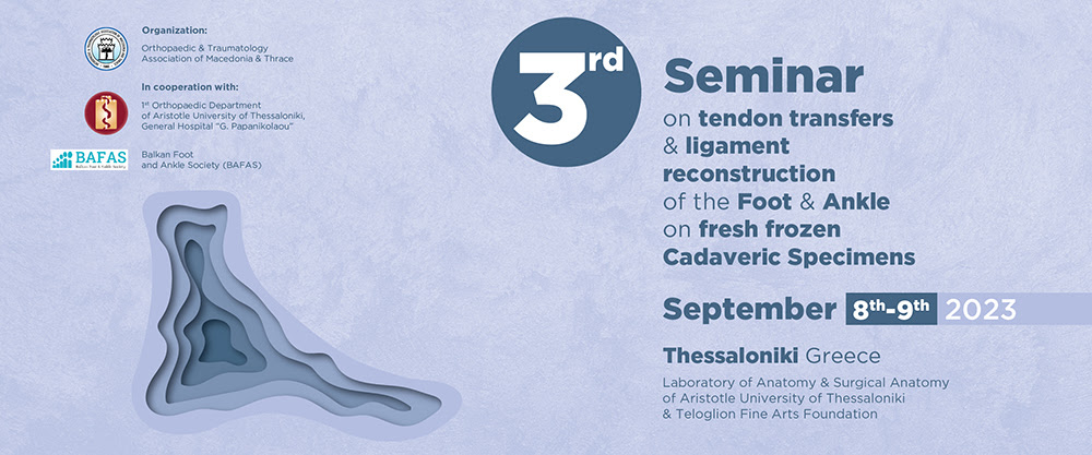 3rd Seminar tendon 1